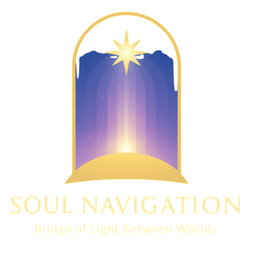 ソウルナビゲーション